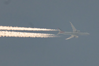 N832AA